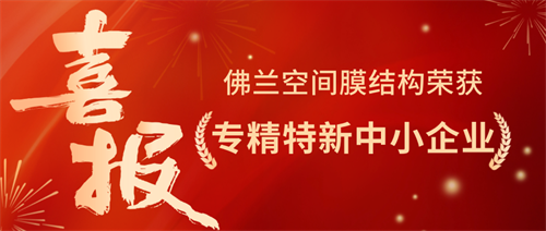 特大喜訊：佛蘭空間榮獲專精特新榮譽(yù)，技術(shù)創(chuàng)新再攀高峰